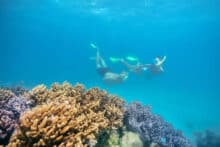 Two snorkellers swimming above vibrant coral formations at Green Island.