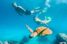 Snorkellers swimming behind a green sea turtle over reef at Green Island.