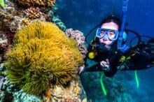 Scuba Diver and Nemo Anemonefish