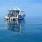 Cairns Half Day Snorkel Tours