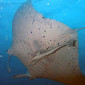 Rainy Day Reef Trip Review