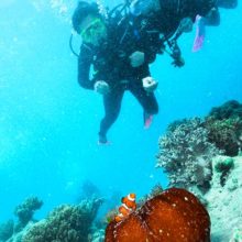 scuba-divers-arlington-reef-cairns