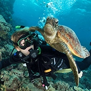 Scuba Diver encounters Sea Turtle