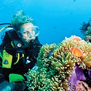 Scuba diver and anemonefish.