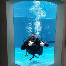 Underwater viewing tank