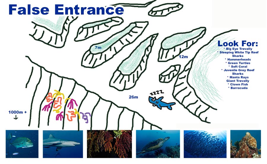Dive Site False Entrance at Osprey Reef