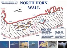 Dive Site - North Horn Wall at Osprey Reef