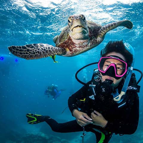 Scuba Diver with Sea Turtle