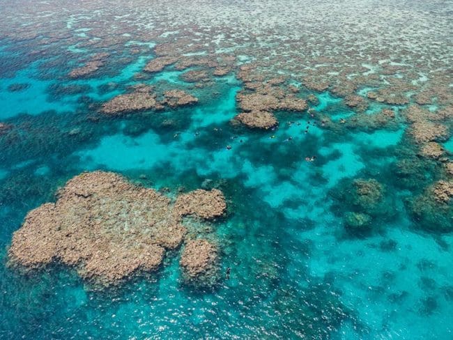 Arial View of the Reef