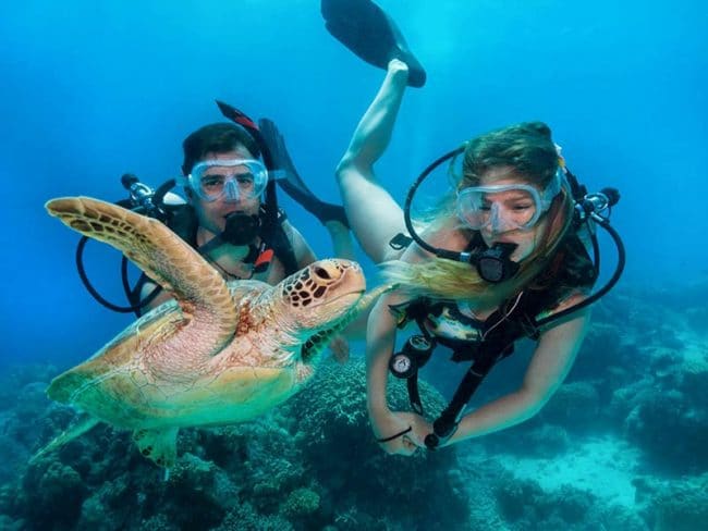 Diving with a Sea Turtle