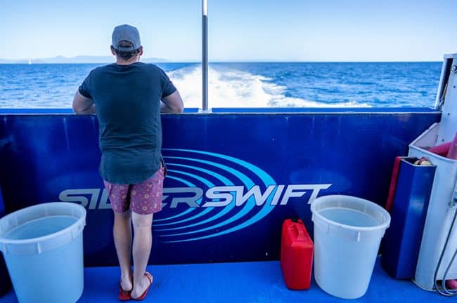 Relax on Silverswift