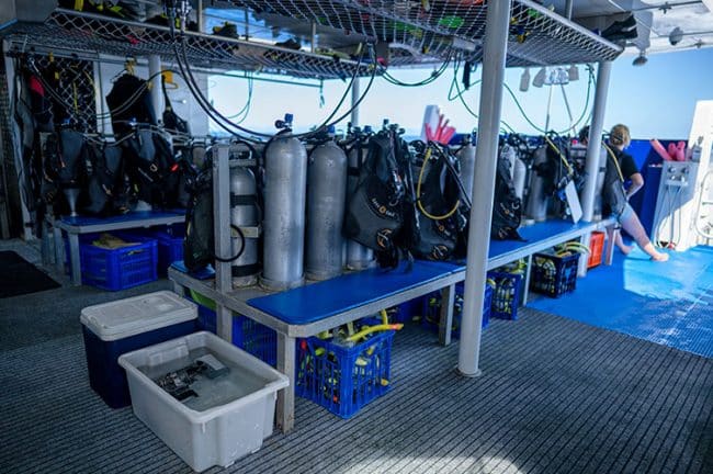 Rear Dive Deck on Silverswift