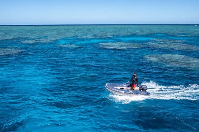 Dive Tender Boat