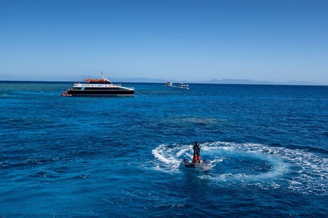 Dive Tender Boat