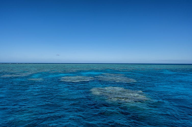 Flynn Reef Cairns