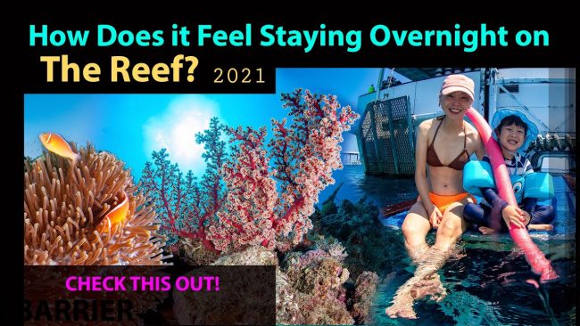 Video thumbnail for youtube video 5o1pd3qzldw