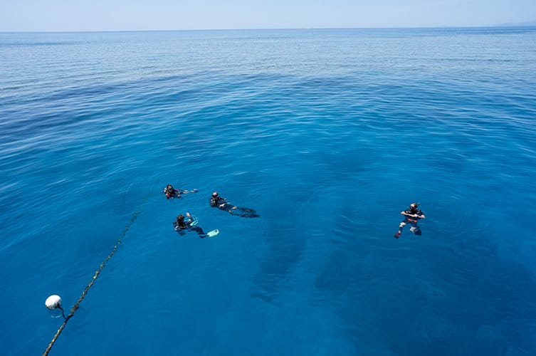 Divers in Water