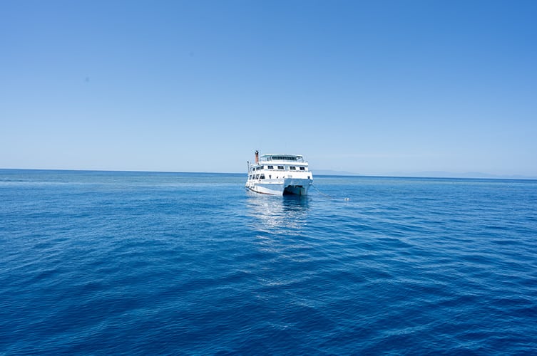 Front view of Reef Encounter Dive Boat