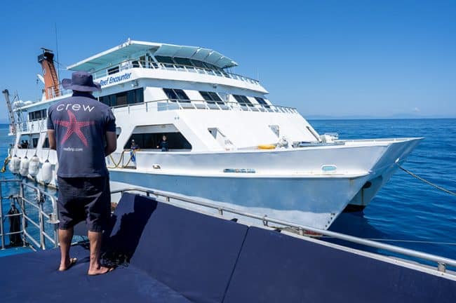 Reef Encounter with Crew