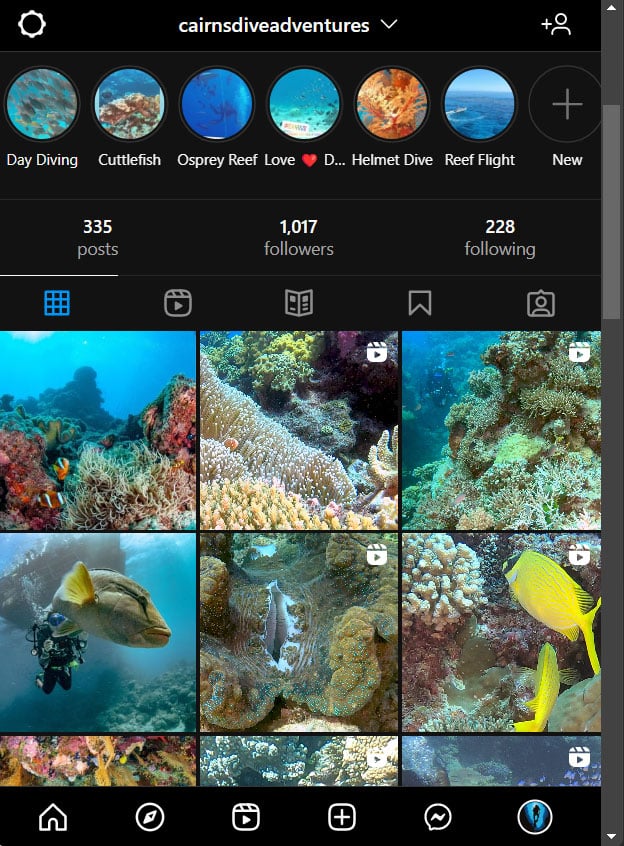 Instagram Cairns Dive Adventures