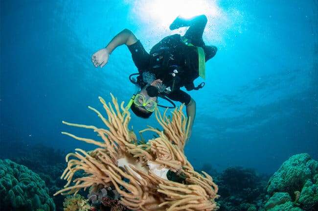 Scuba Diving Fun