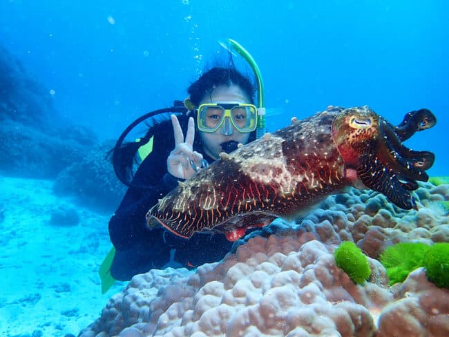 Scuba Diver and Cuttle Fish diving from Cairns after Cyclone Jasper.