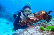 Scuba Diver with Anemonefish Cairns Australia