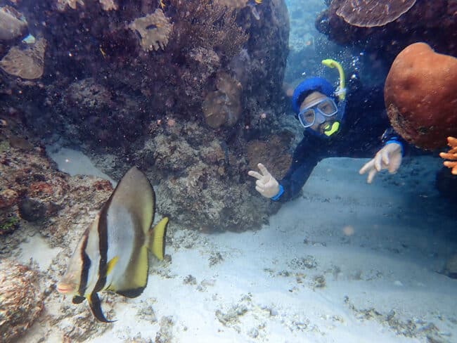 Large Bat Fish and Snorkeler