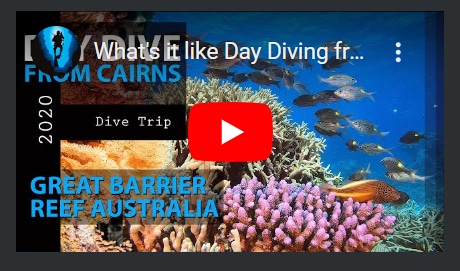 Cairns Dive Adventures Youtube Channel
