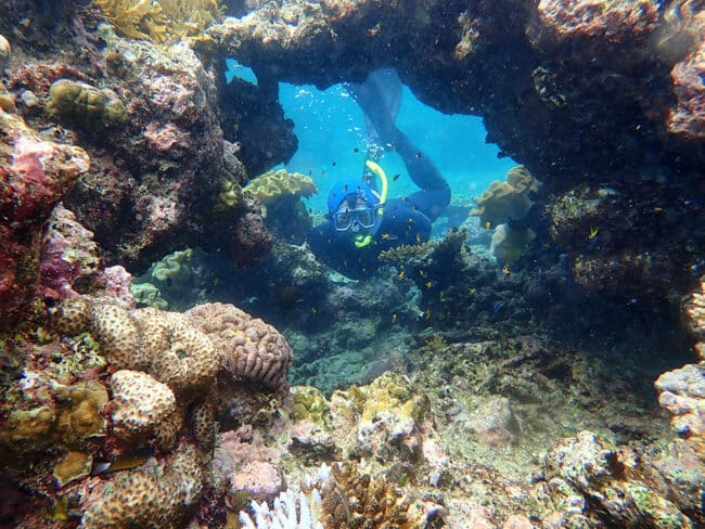 Snorkel Swim thru Cave.