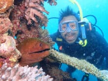 Scuba Diver Surprised by Moray Eel