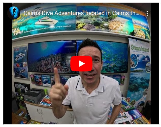 Cairns Dive Adventures - Youtube Channel