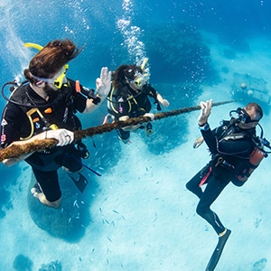 Buddy divers explore the Agincourt Reef Australia.