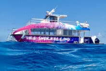 Pure Snorkel Boat Cairns.