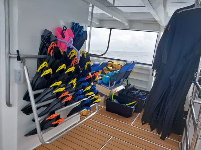 Rear Snorkel Deck