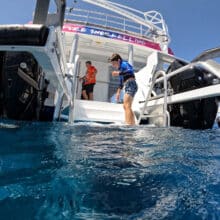 Rear stair platform of Pure Snorkel Boat.