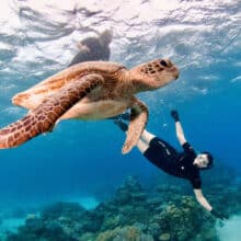 Snorkeling with Turtle.