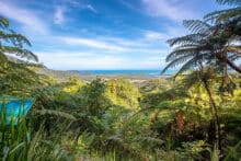 Alexandra Range Lookout - Spectacular Views!