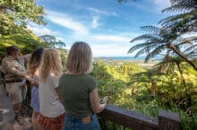 Alexandra-Range-Lookout-Daintree