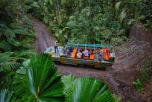 Army Duck Guided tour in Kuranda