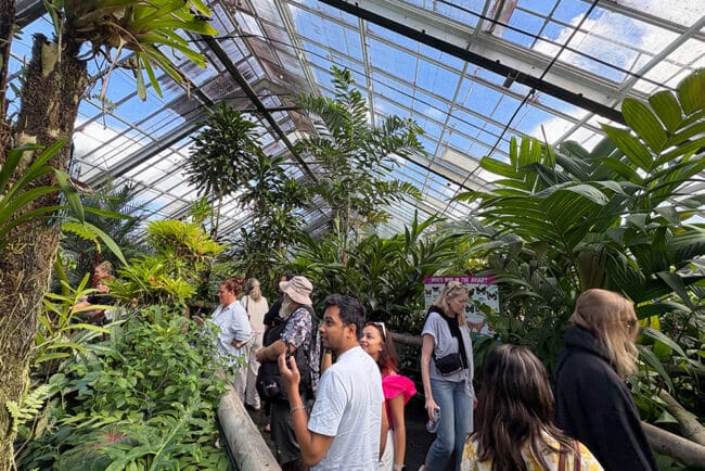 The Australian Butterfly Sanctuary located in Kuranda Village