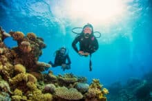 Certified Scuba Divers