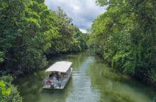 Daintree River Boat Cruise