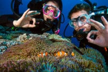 Two Certified Divers with NEMO Anemonefish.