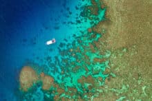 Flynn Reef located near Cairns.
