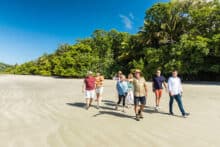 Guided beach walking at Cape Tribulation.