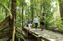 Guided board Walks