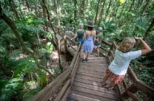 Guided Board Walks