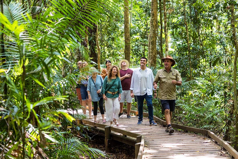 Experienced Driver Guides in the Daintree Rainforest.