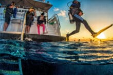 Night diving with Pro-Dive Cairns.
